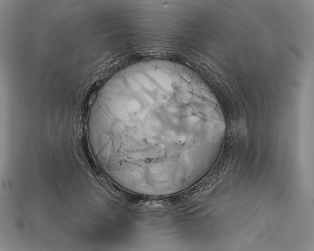 X0000115170751200911121739