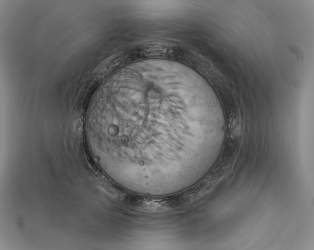 X0000115170753200911121739