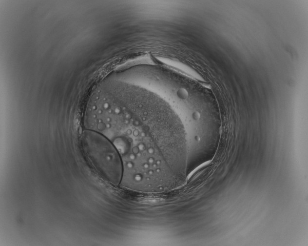 X0000115170754200911121739