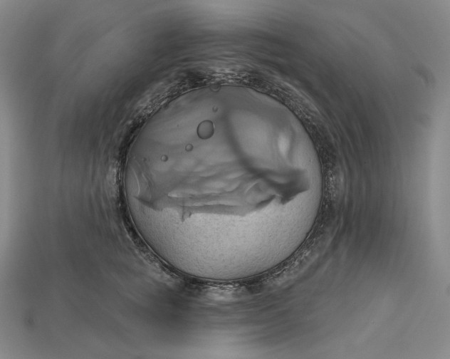 X0000115170757200911121739