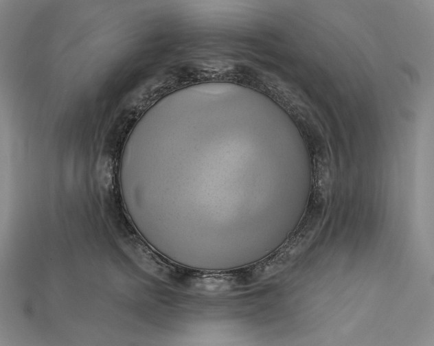 X0000115170758200911121739