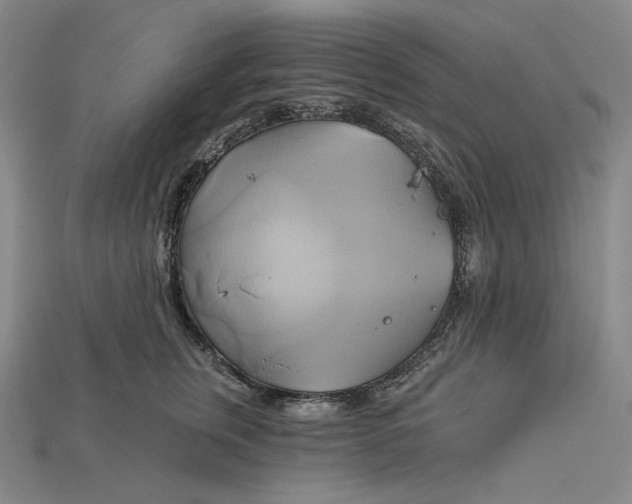 X0000115170759200911121739