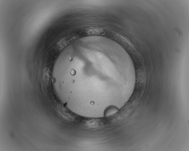 X0000115170761200911121739