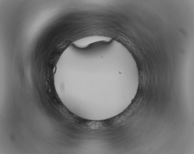 X0000115170762200911121739