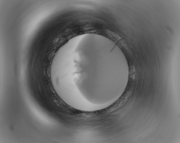 X0000115170763200911121739