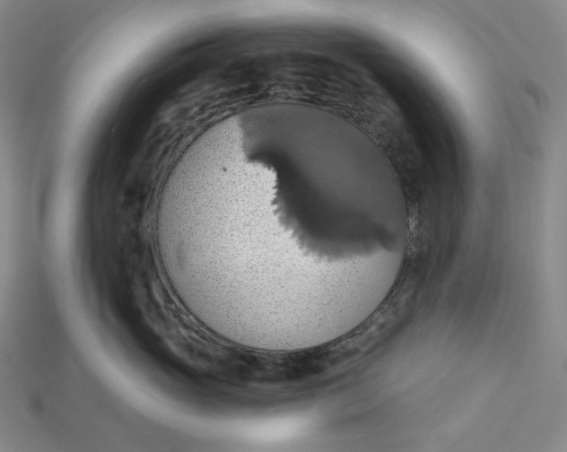 X0000115170765200911121739