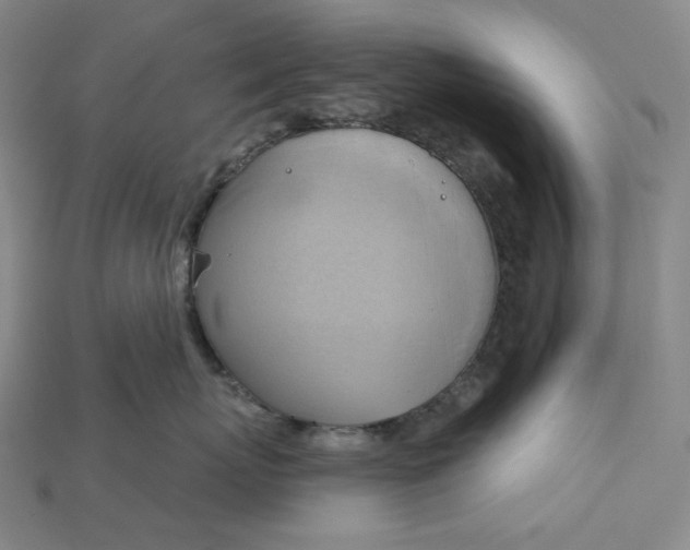 X0000115170767200911121739