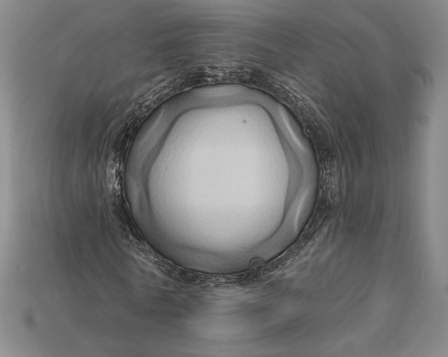 X0000115170770200911121738