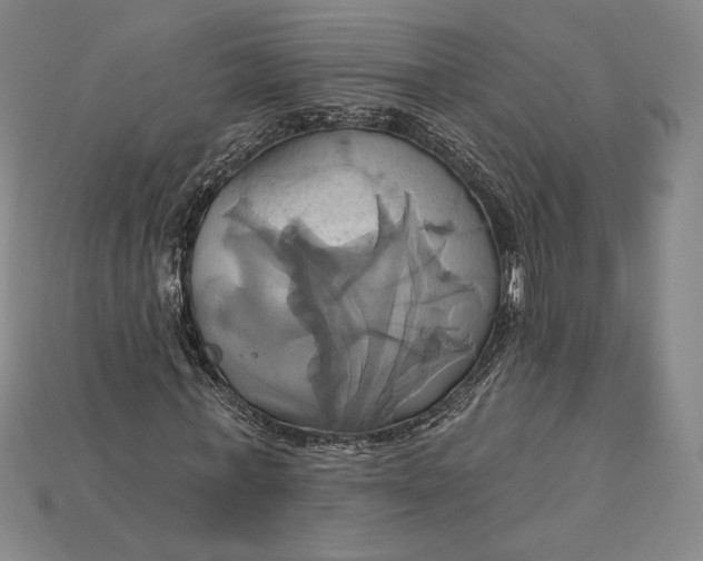 X0000115170771200911121738