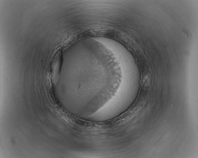 X0000115170772200911121738