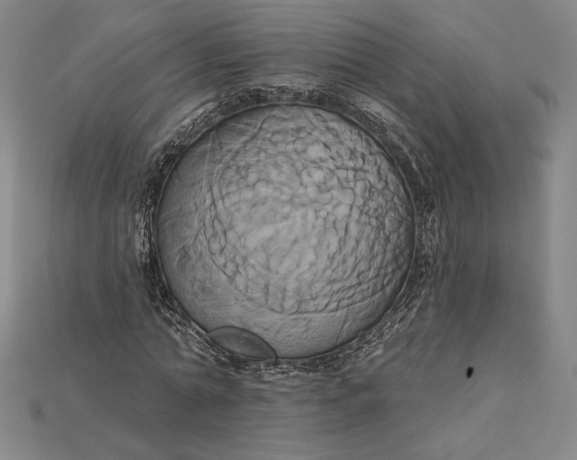 X0000115170774200911121738