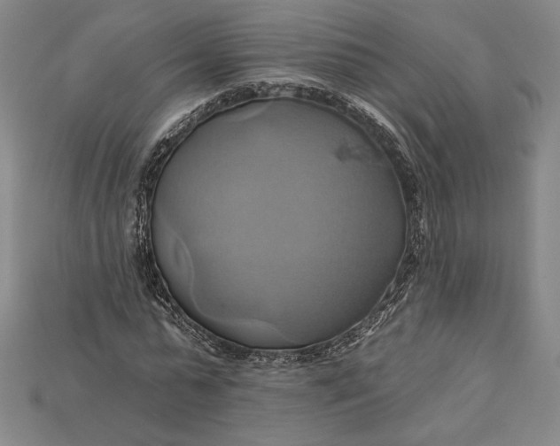 X0000115170775200911121738