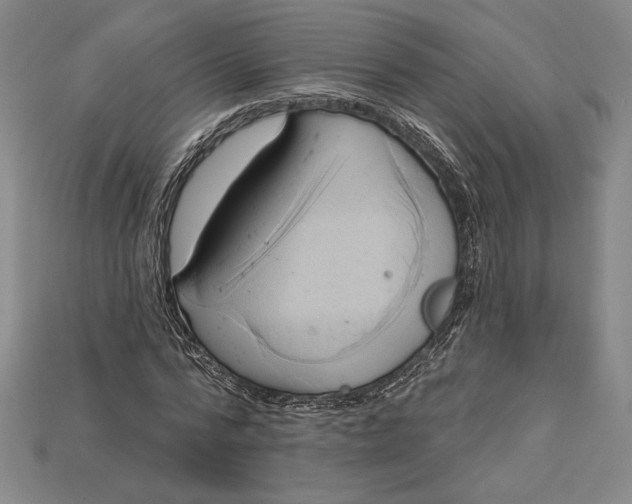 X0000115170776200911121738