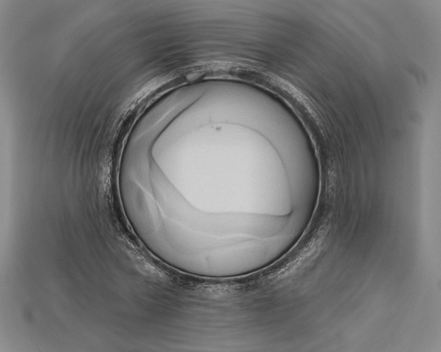 X0000115170778200911121738
