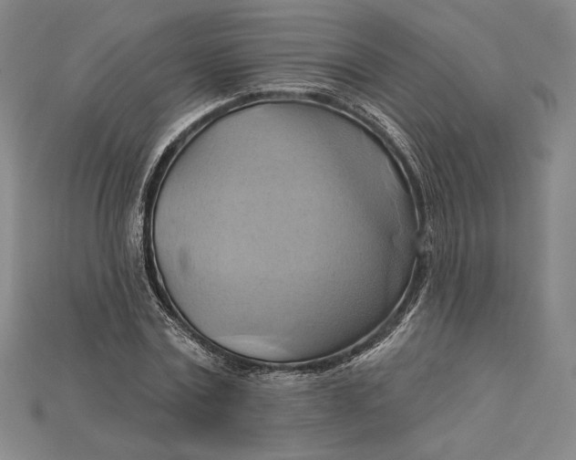 X0000115170779200911121738