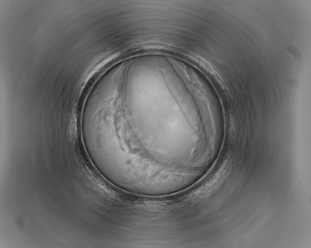 X0000115170782200911121738