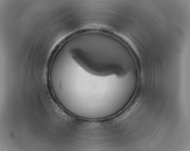 X0000115170783200911121738