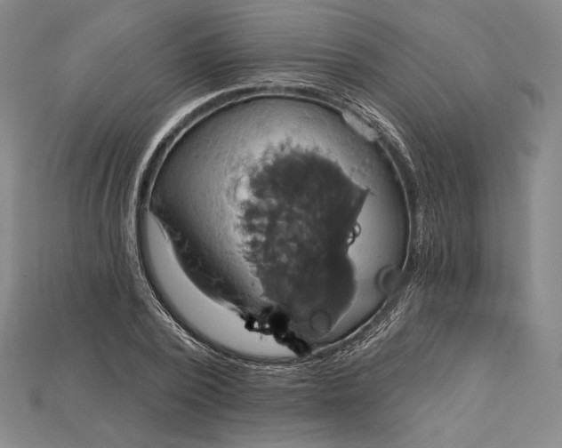 X0000115170784200911121738