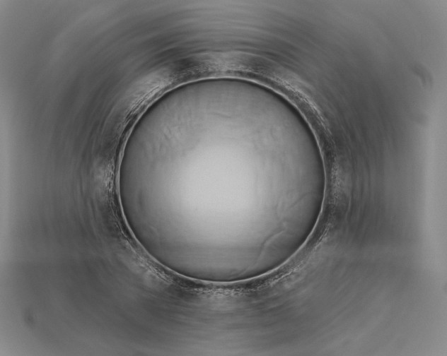 X0000115170785200911121738