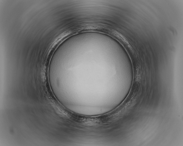 X0000115170786200911121738