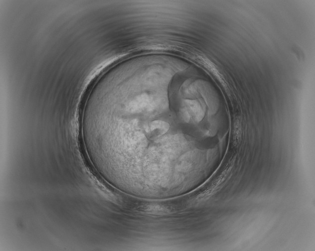 X0000115170787200911121738