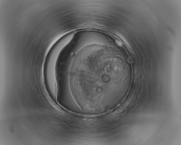 X0000115170788200911121738