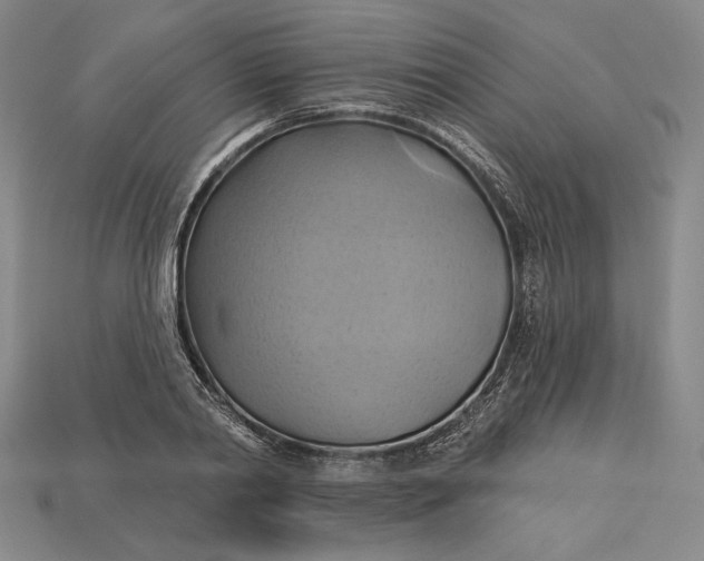 X0000115170790200911121738