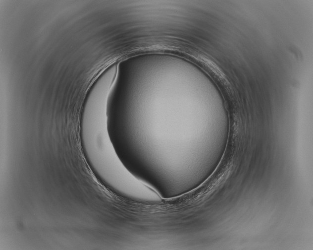 X0000115170793200911121738