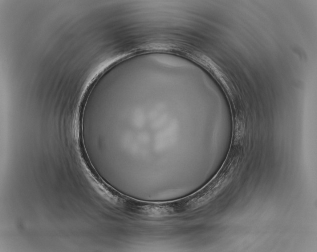 X0000115170795200911121738