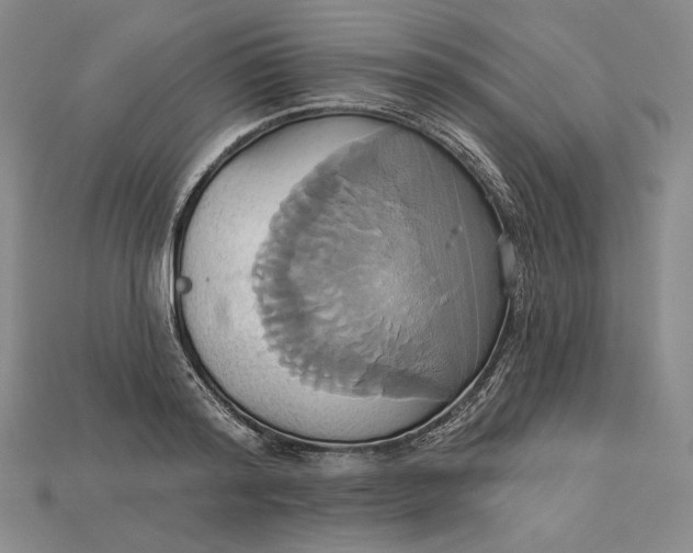 X0000115170796200911121738