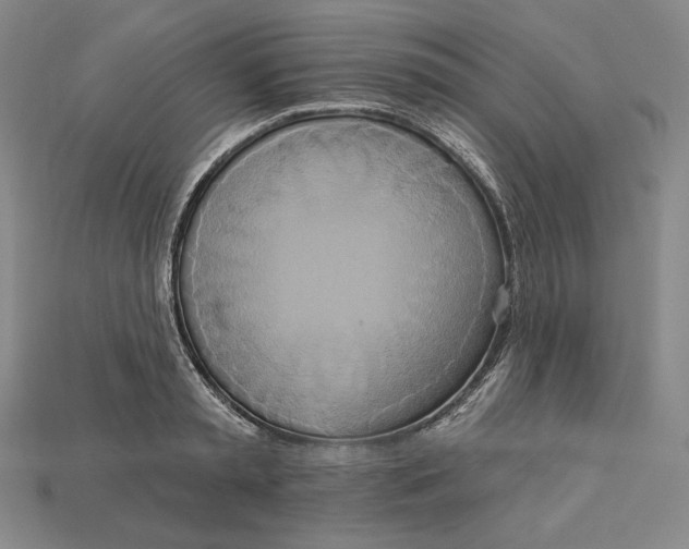 X0000115170797200911121738