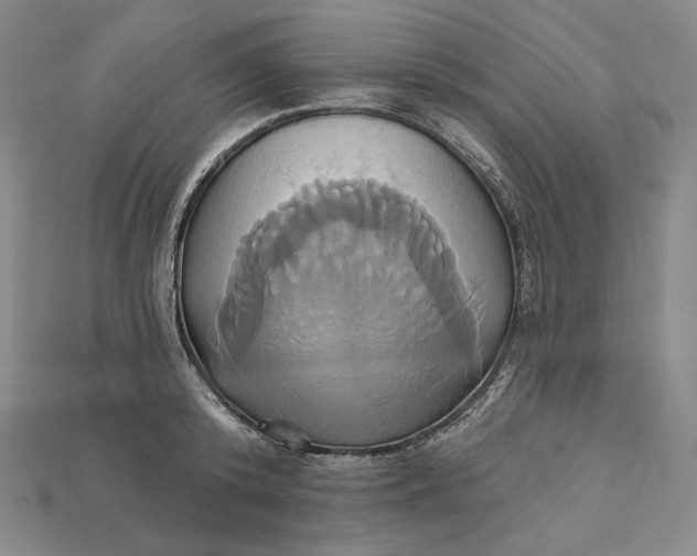X0000115170800200911121738