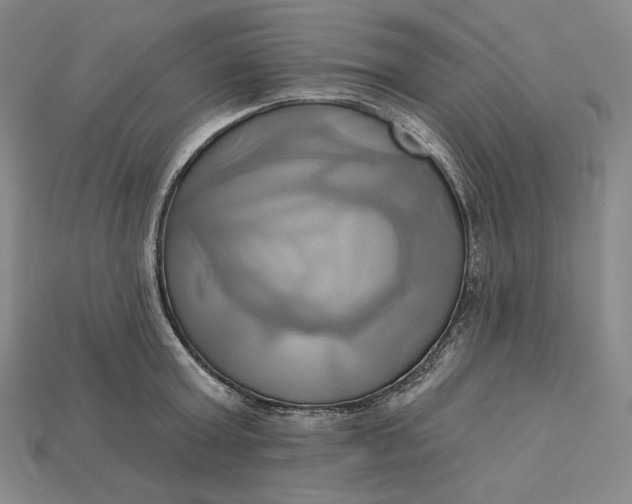 X0000115170803200911121738