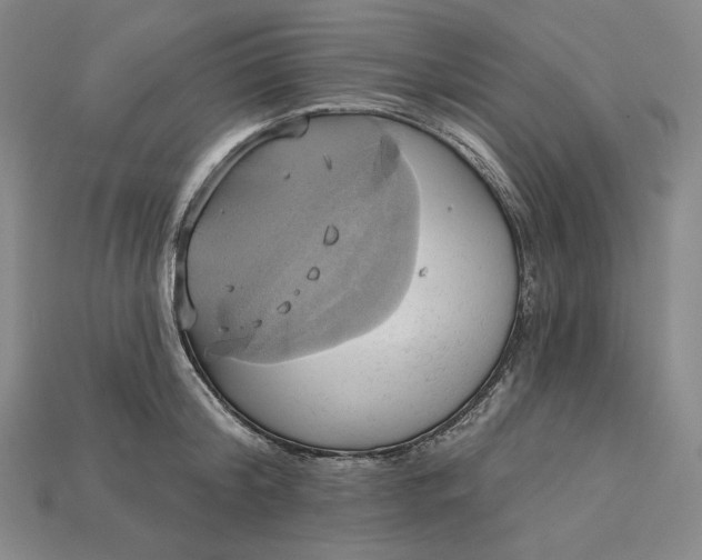 X0000115170804200911121738