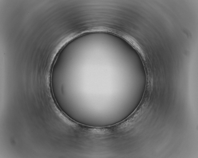 X0000115170805200911121738
