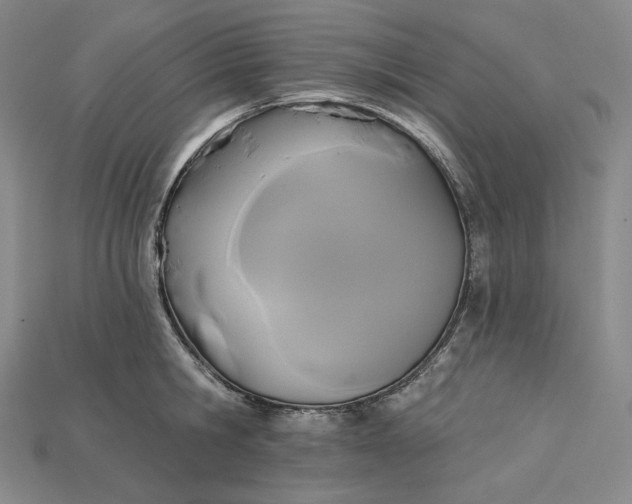 X0000115170806200911121738