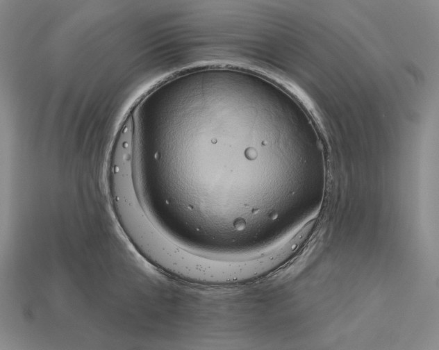 X0000115170807200911121738