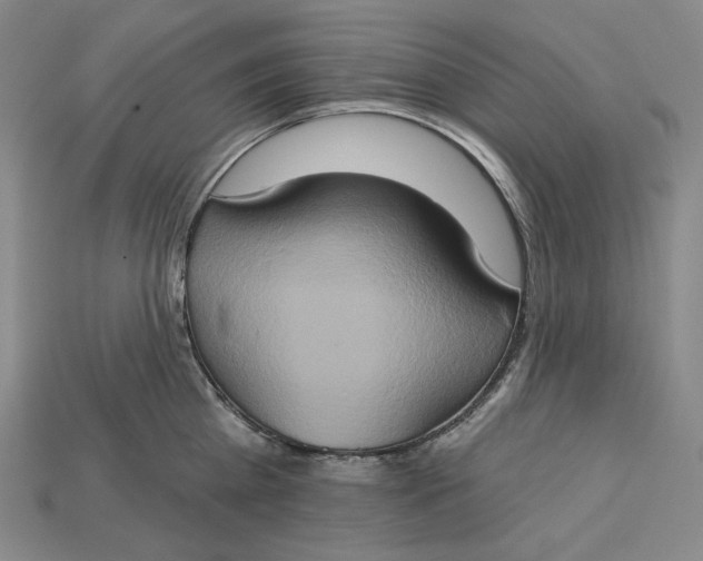 X0000115170809200911121738