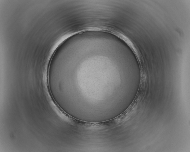 X0000115170811200911121738