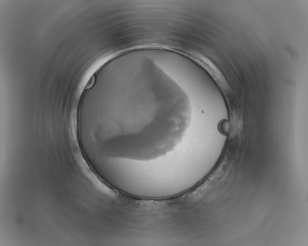 X0000115170812200911121738