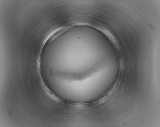 X0000115170814200911121738