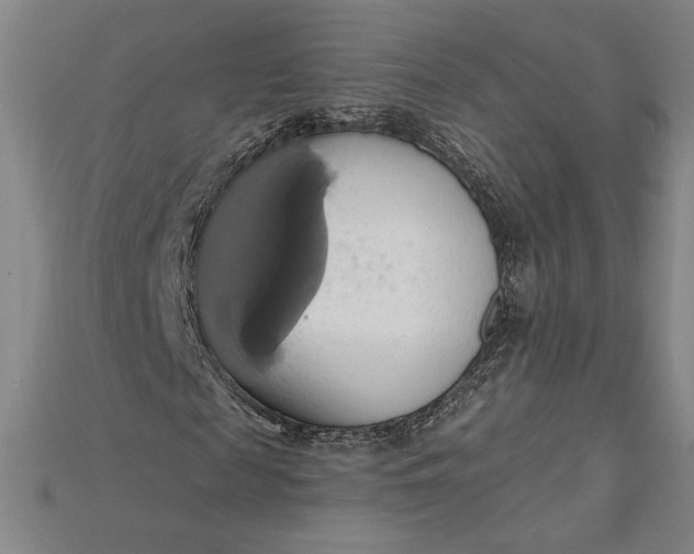 X0000115170817200911121737