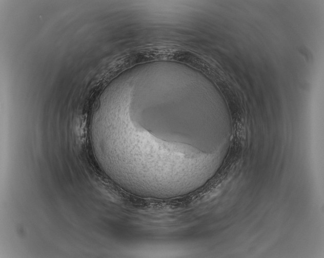 X0000115170818200911121737