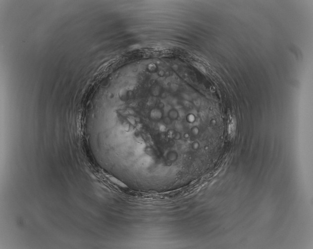 X0000115170819200911121737