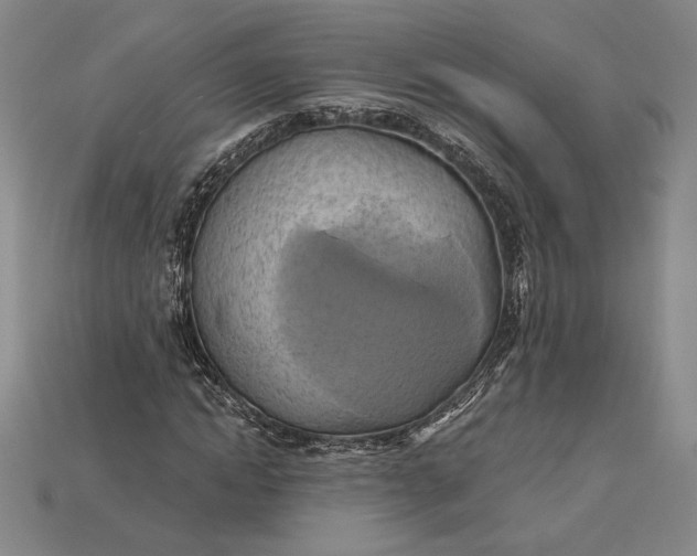X0000115170822200911121737