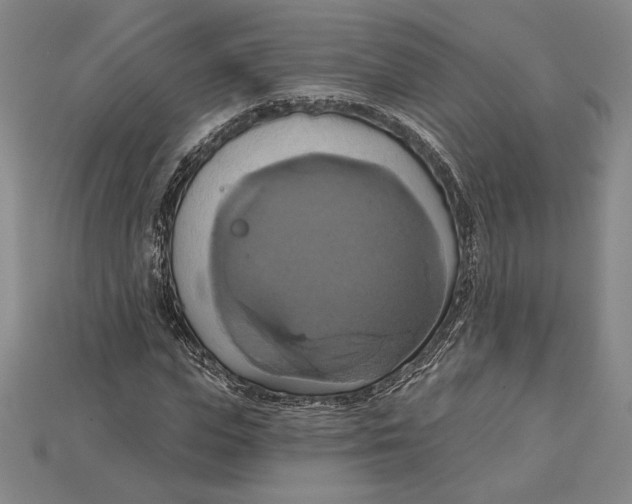 X0000115170823200911121737