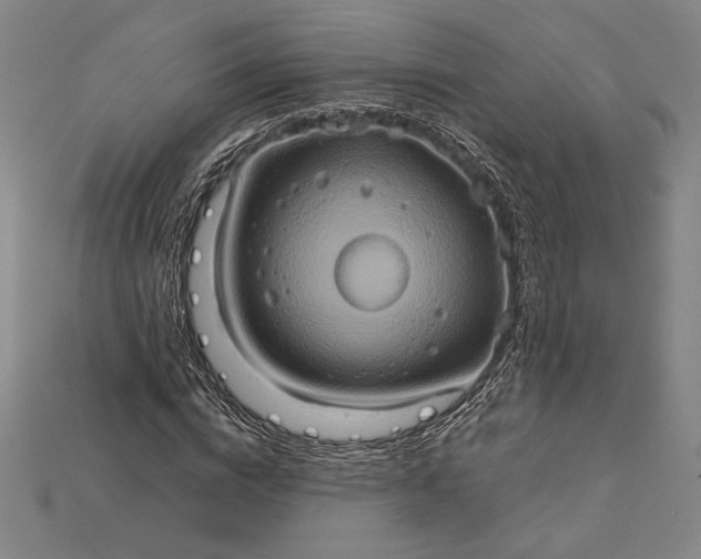 X0000115170824200911121737