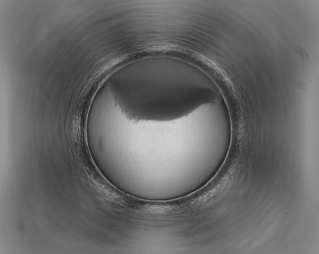 X0000115170825200911121737