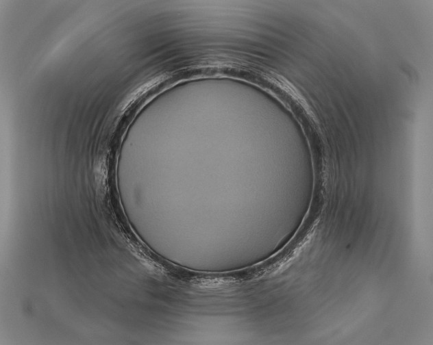 X0000115170826200911121737