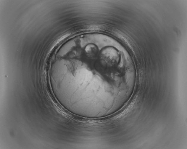X0000115170827200911121737
